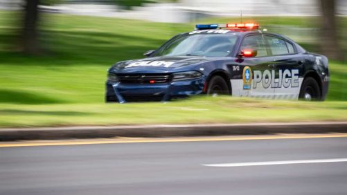 Red de tráfico de cocaína jaque mate policial
