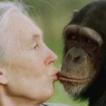 La famosa primatóloga Jane Goodall murió a los 91 años