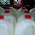 Se espera un aumento del precio de la leche este invierno