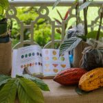 El Salvador lanza programa Reforestación Productiva con Cacao de Alto Valor |