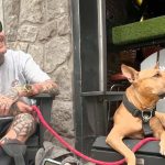 "Todos lo amaron": shock total para los familiares de un artista de Montreal filmado en un bar