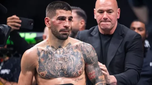 Cada día estoy más seguro que te pondré a dormir