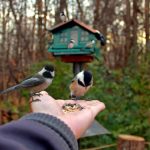 Aquí están los mejores parques naturales accesibles en transporte público desde Montreal