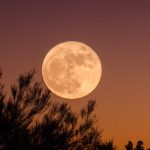 Esta semana podrás ver la superluna más brillante del año: Anota la fecha y hora para apreciar la Luna del Castor | Internacional | Noticias