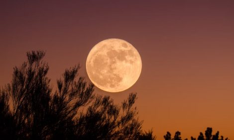 Esta semana podrás ver la superluna más brillante del año: Anota la fecha y hora para apreciar la Luna del Castor | Internacional | Noticias
