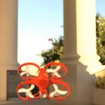 Desarrollan 'solución' para dar fin a los mosquitos | Internacional | Noticias