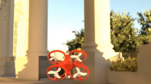 Desarrollan 'solución' para dar fin a los mosquitos | Internacional | Noticias