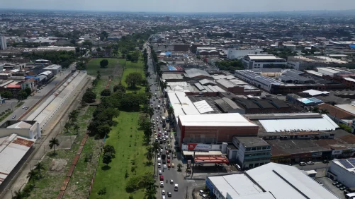 así avanza concertación entre la Alcaldía de Cali y Comuna 3 para trasladar 71 árboles de la calle 25 para desfiles de Feria