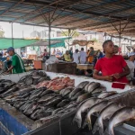 anuncian renovación para la Plaza del Pescado y Barranquillita; la inversión supera los $45 mil millones
