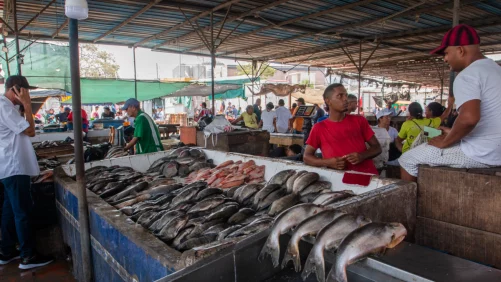 anuncian renovación para la Plaza del Pescado y Barranquillita; la inversión supera los $45 mil millones
