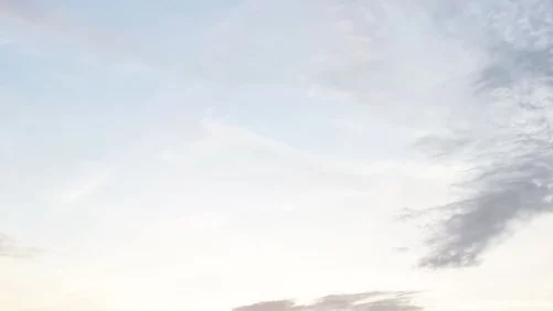 el ecosistema costero que el abandono, la hipersalinidad y las aguas residuales están acabando para siempre