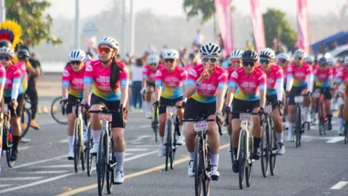 balance de su impacto económico y digital