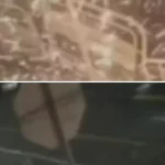 El atentado con explosivo contra estación de Policía en Cali, que deja tres heridos, sería en venganza por cabecilla abatido; ¿quién estaría detrás?