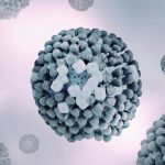 Brote de “supergripe” H3N2 en América y Europa “no es igual al Covid”: Expertos aclaran la situación y brindan consejos para cuidarse | Internacional | Noticias