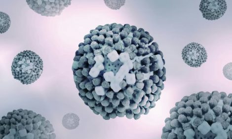 Brote de “supergripe” H3N2 en América y Europa “no es igual al Covid”: Expertos aclaran la situación y brindan consejos para cuidarse | Internacional | Noticias