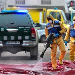 Posible fuga del virus de la peste porcina africana: cinco laboratorios bajo investigación en España | Internacional | Noticias