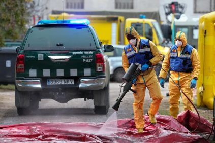 Posible fuga del virus de la peste porcina africana: cinco laboratorios bajo investigación en España | Internacional | Noticias