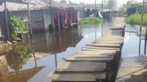 inversiones son nulas para evitar las inundaciones y arroceros se declaran en quiebra