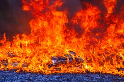 Autoridades destruyen 150 kilos de cocaína incautados en costas salvadoreñas |