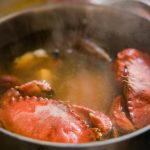 Hervir langostas, cangrejos y otros crustáceos vivos serán ilegales en Inglaterra bajo nuevas normas de bienestar animal | Internacional | Noticias