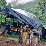 Ejército de Colombia destruye cinco laboratorios de pasta base de coca en Antioquia | Internacional | Noticias