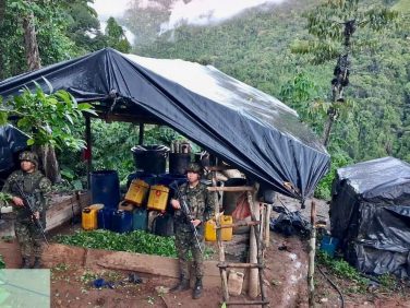 Ejército de Colombia destruye cinco laboratorios de pasta base de coca en Antioquia | Internacional | Noticias
