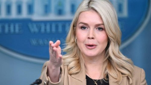 'No eres reportera': Karoline Leavitt critica duramente a la periodista por la muerte de Renee Good